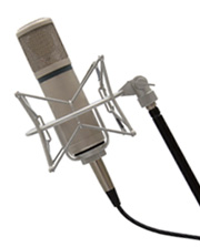 Musical Instrument